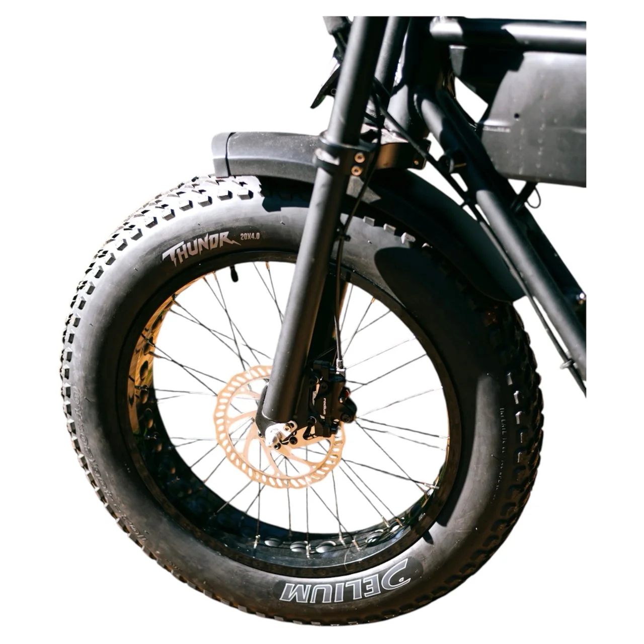 Deli Thunder E-BIKE 20x4.0 Heavy Duty Thornproof Tire - Image 6
